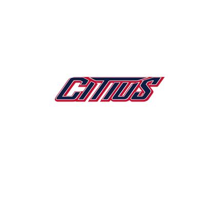 [CUS-STK-VC-3IN-LOGO3] Team Stickers (3in, Logo 3)