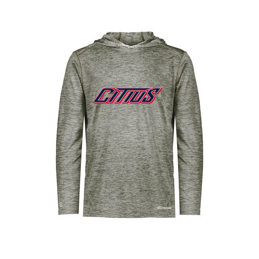 [CUS-DFW-CHGHOOD-PER-LSL-GRY-AS-LOGO3] Men's Charge Hoodie (Adult S, Gray, Logo 3)