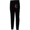 Men's PERFORMANCE FLEECE JOGGER