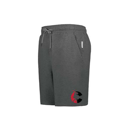 [223504.E83.XS-LOGO1] Men's Ventura Soft Knit Shorts (Adult XS, Gray, Logo 1)